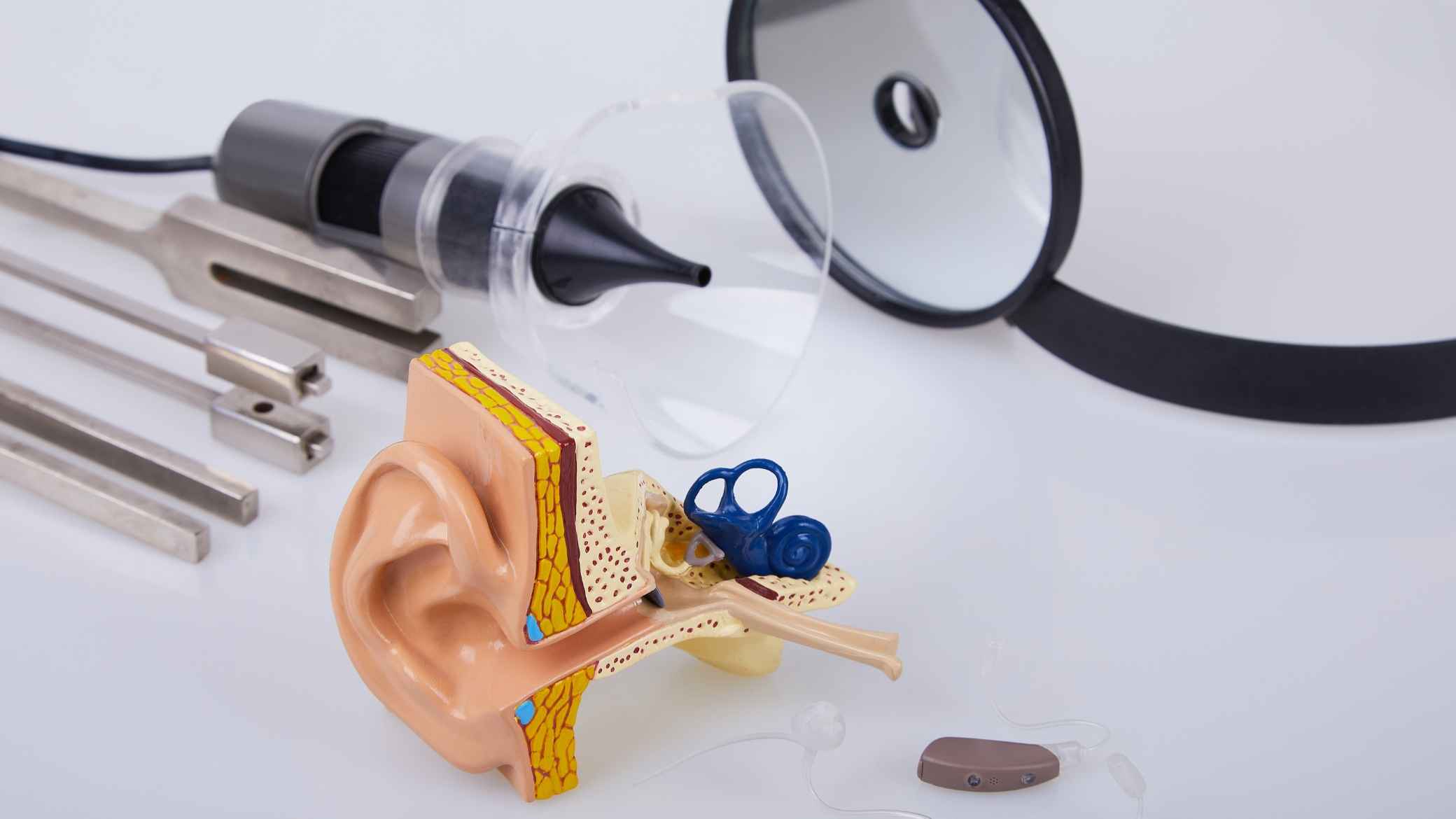 Strengthening Capital Endurance for ENT Providers​